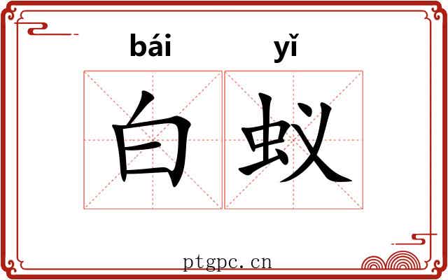 白蚁