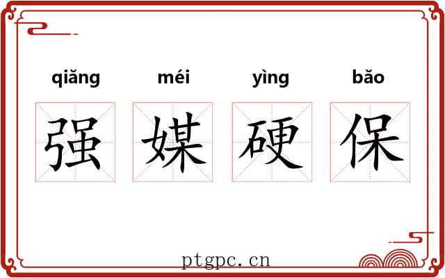 强媒硬保