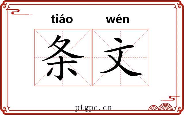 条文