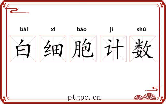 白细胞计数