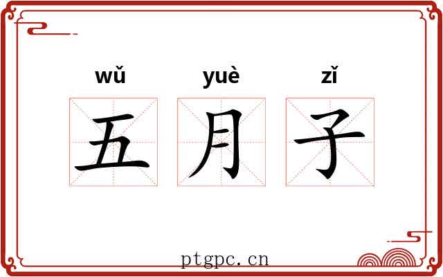 五月子