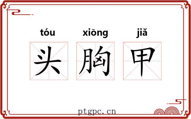 头胸甲 头胸甲