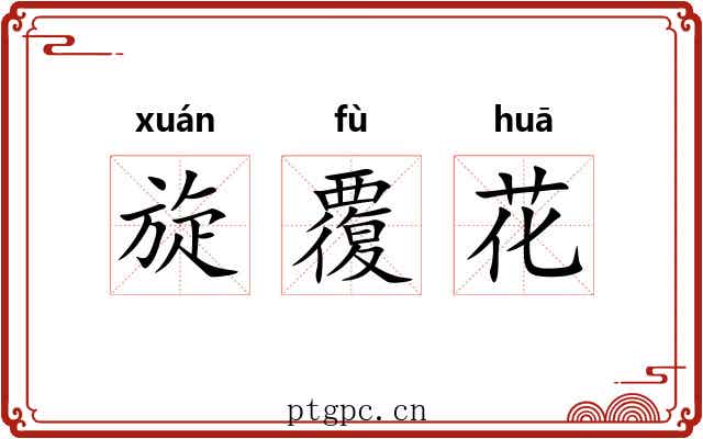 旋覆花