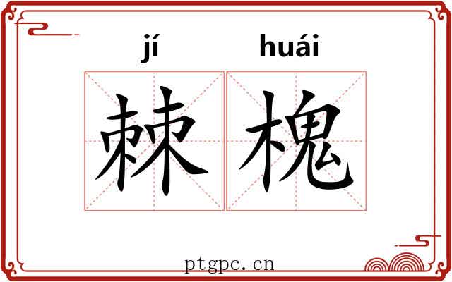 棘槐