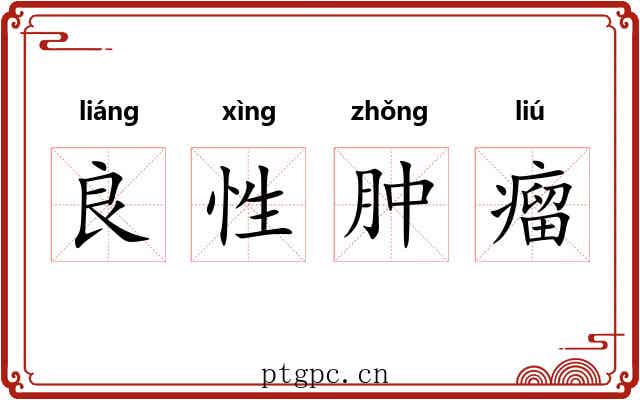 良性肿瘤 良性肿瘤