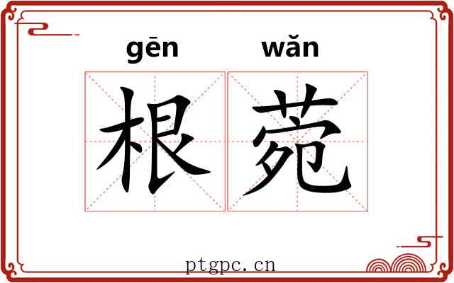 根菀
