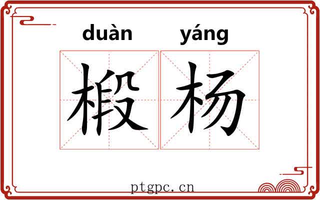 椴杨