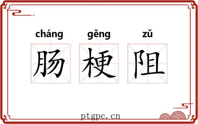 肠梗阻