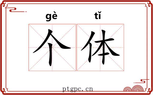个体
