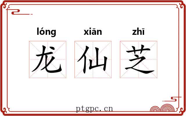 龙仙芝 龙仙芝