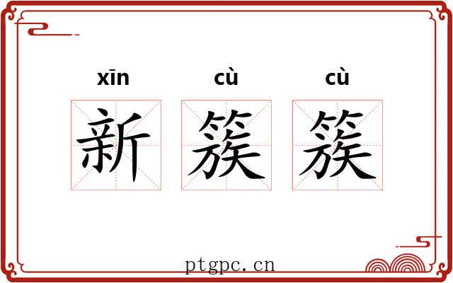 新簇簇