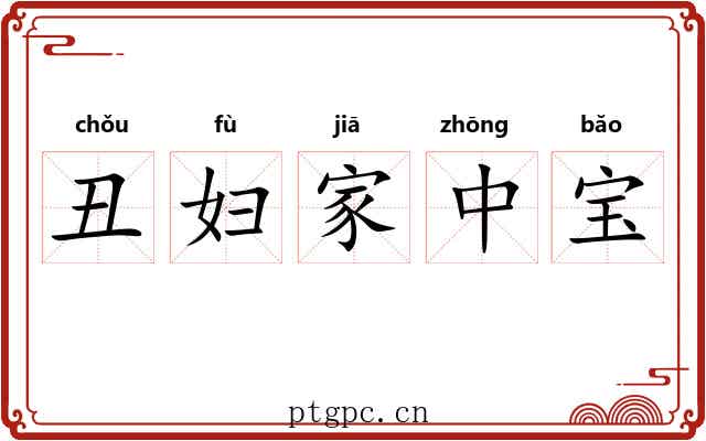 丑妇家中宝