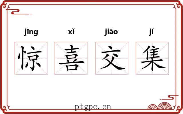 惊喜交集 惊喜交集