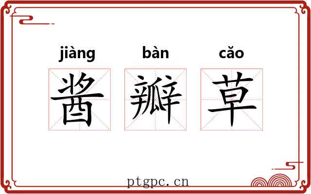 酱瓣草 酱瓣草
