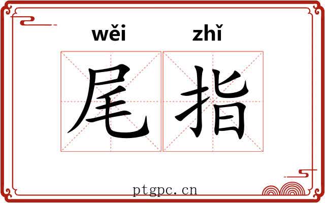 尾指 尾指