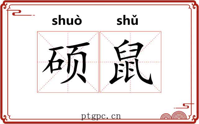 硕鼠
