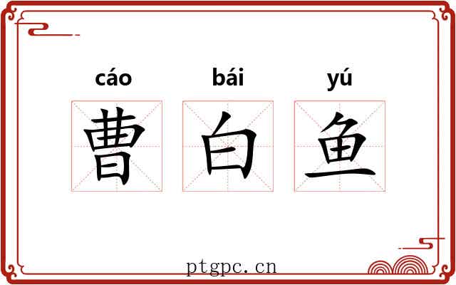 曹白鱼