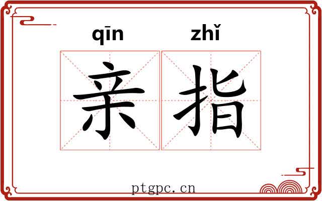 亲指