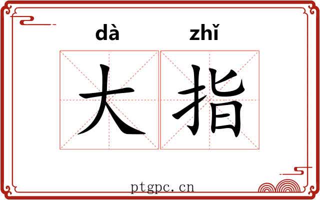 大指 大指
