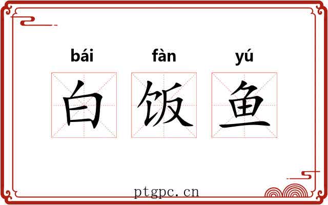 白饭鱼
