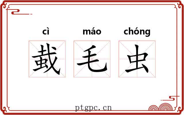 蛓毛虫