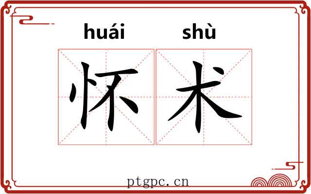 怀术