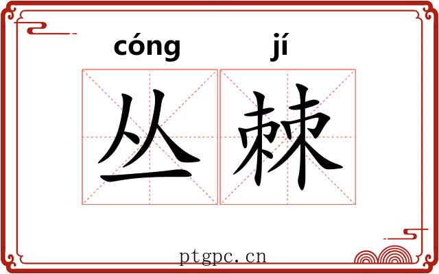 丛棘