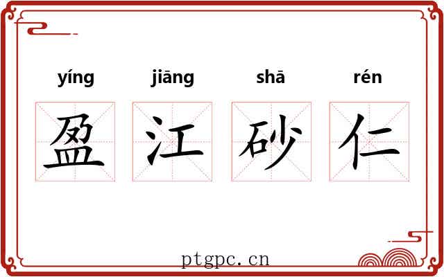 盈江砂仁