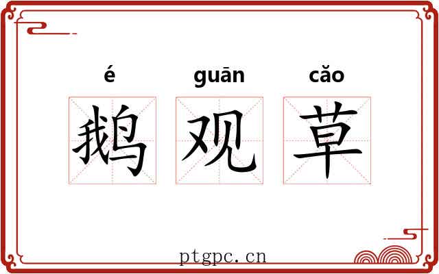 鹅观草