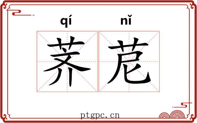荠苨