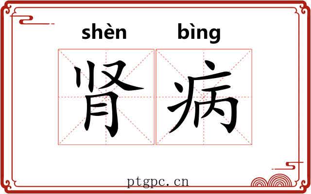 肾病
