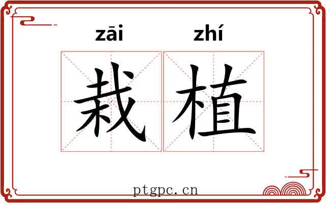 栽植 栽植