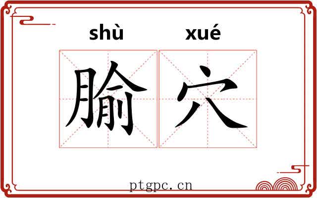 腧穴