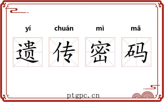 遗传密码