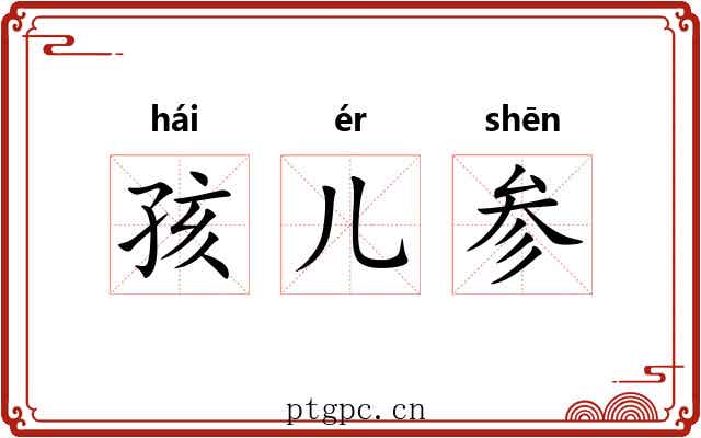 孩儿参 孩儿参