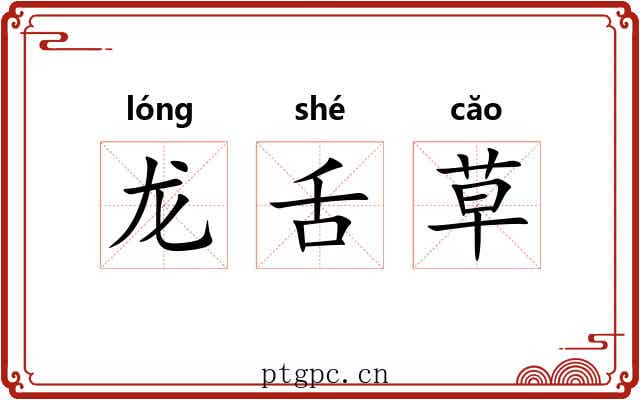 龙舌草 龙舌草
