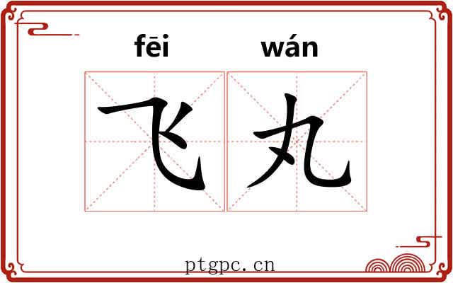 飞丸