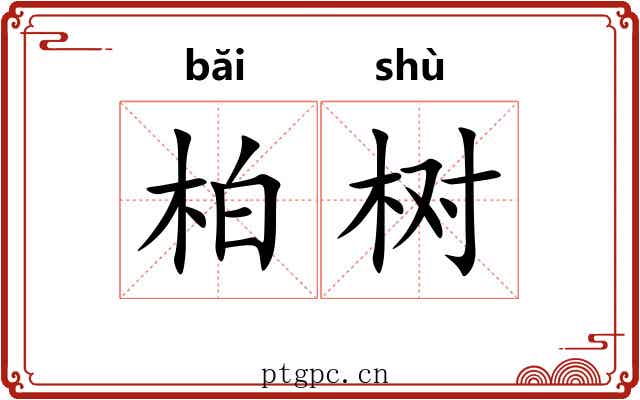柏树