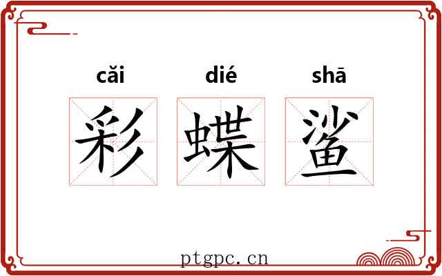 彩蝶鲨 彩蝶鲨