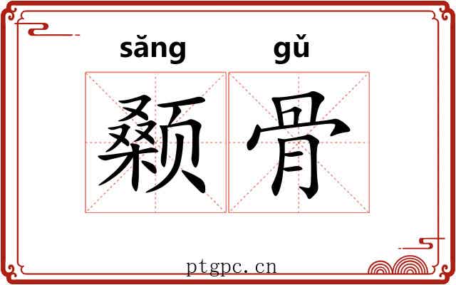 颡骨 颡骨