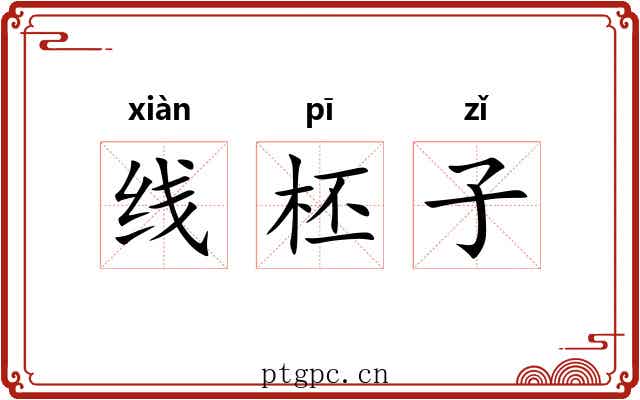 线柸子 线柸子
