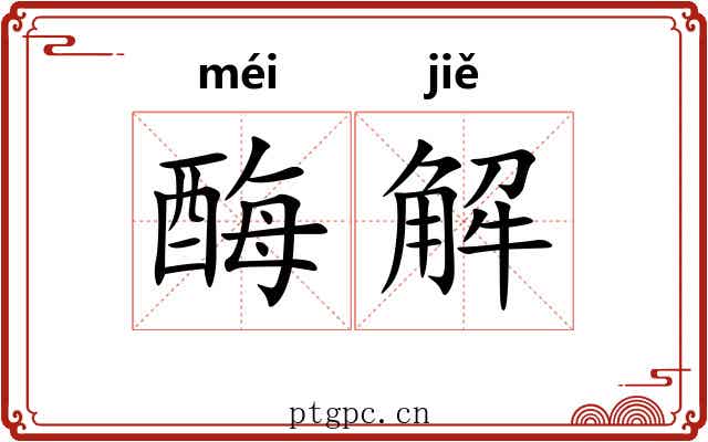 酶解 酶解