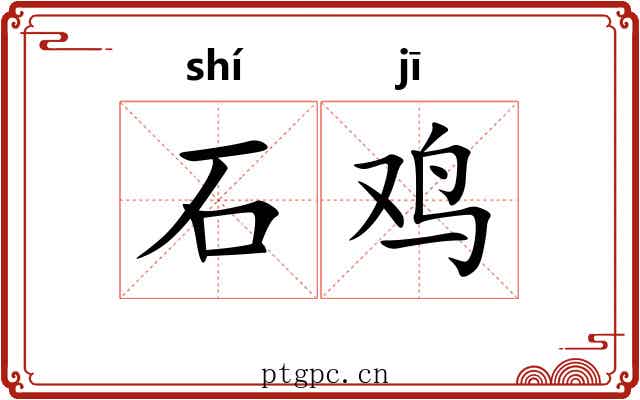石鸡 石鸡