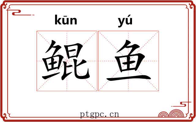 鲲鱼
