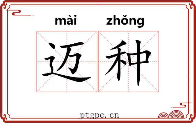 迈种