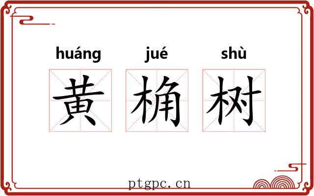 黄桷树