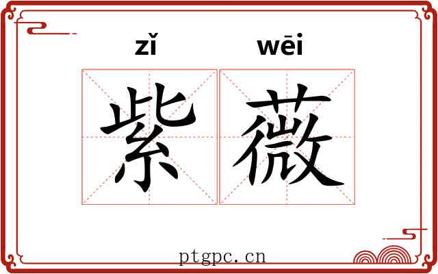 紫薇