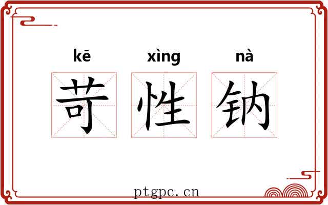 苛性钠 苛性钠