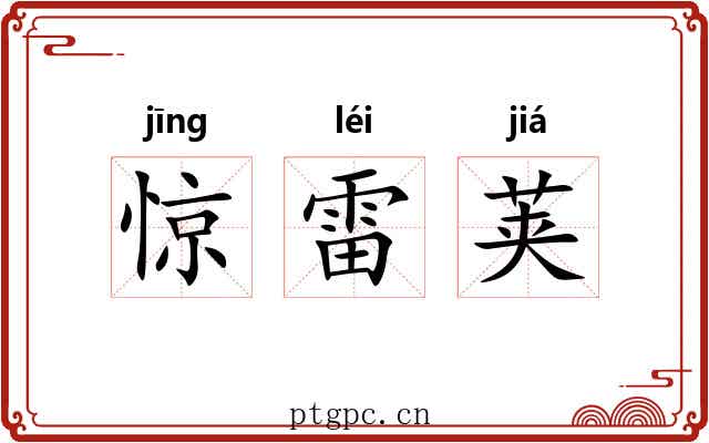 惊雷荚