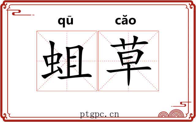 蛆草 蛆草